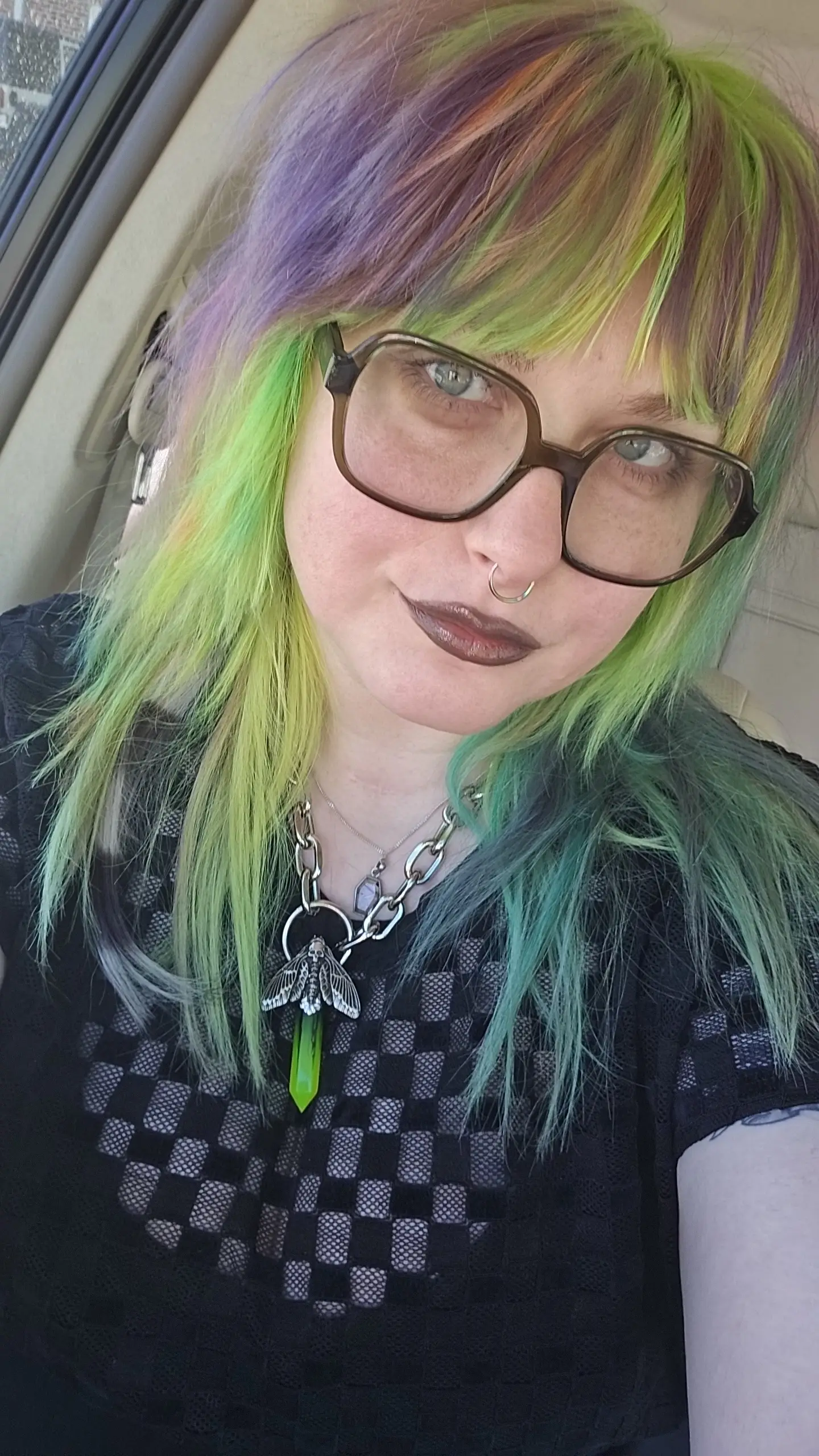Color Me Cat