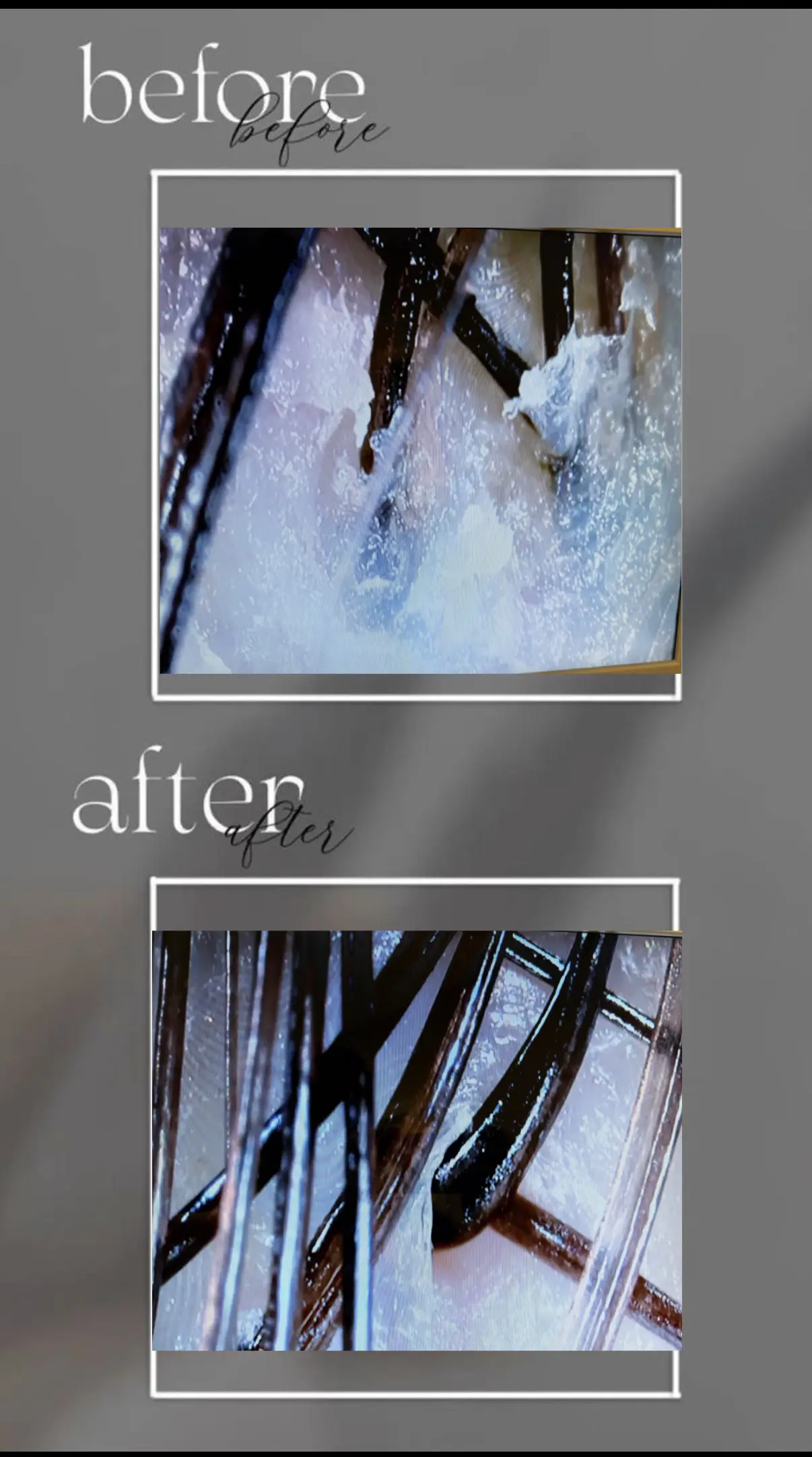 Stylist Portfolio Photo