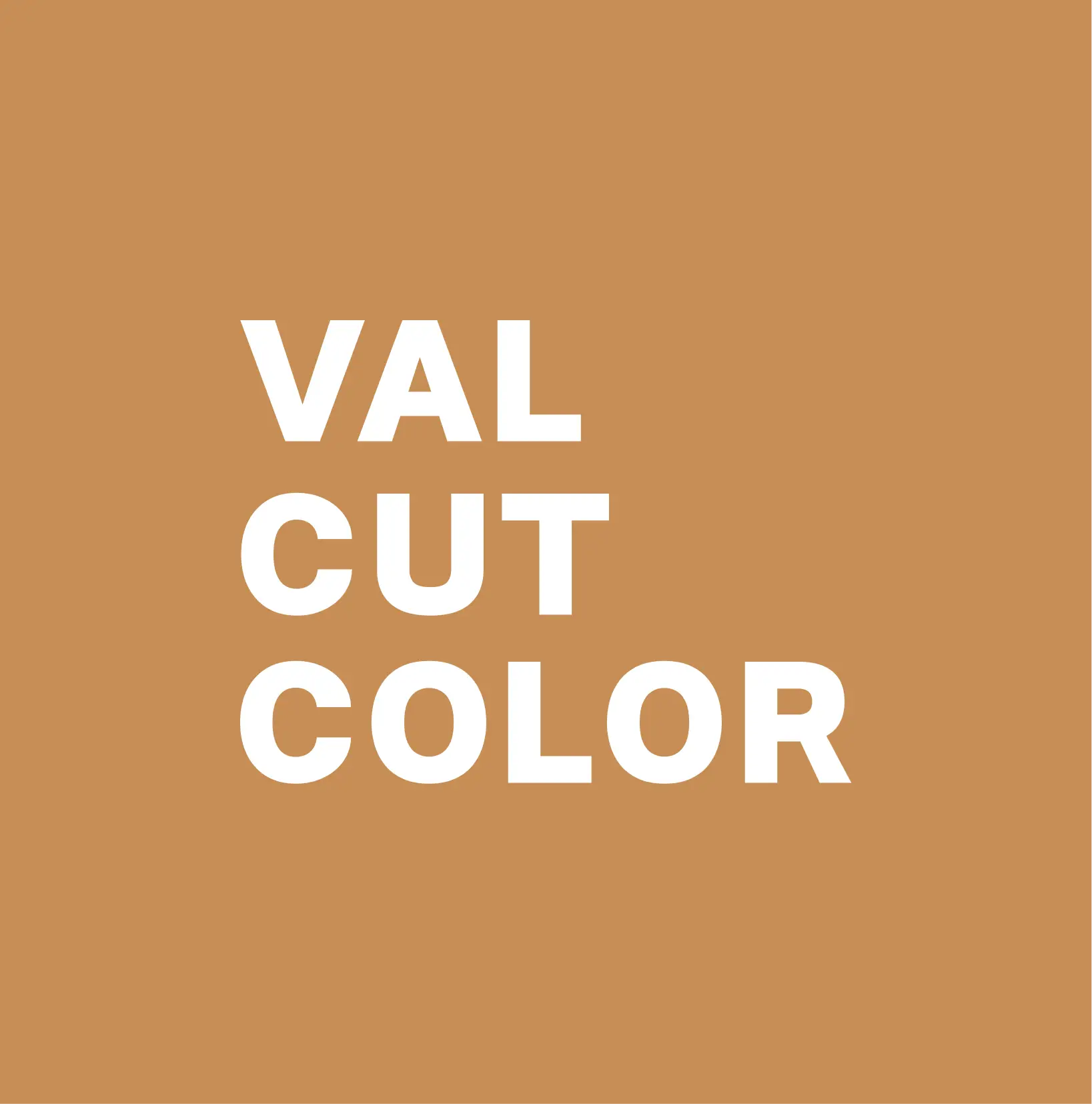 ValCutColor | Curly Hairstylist