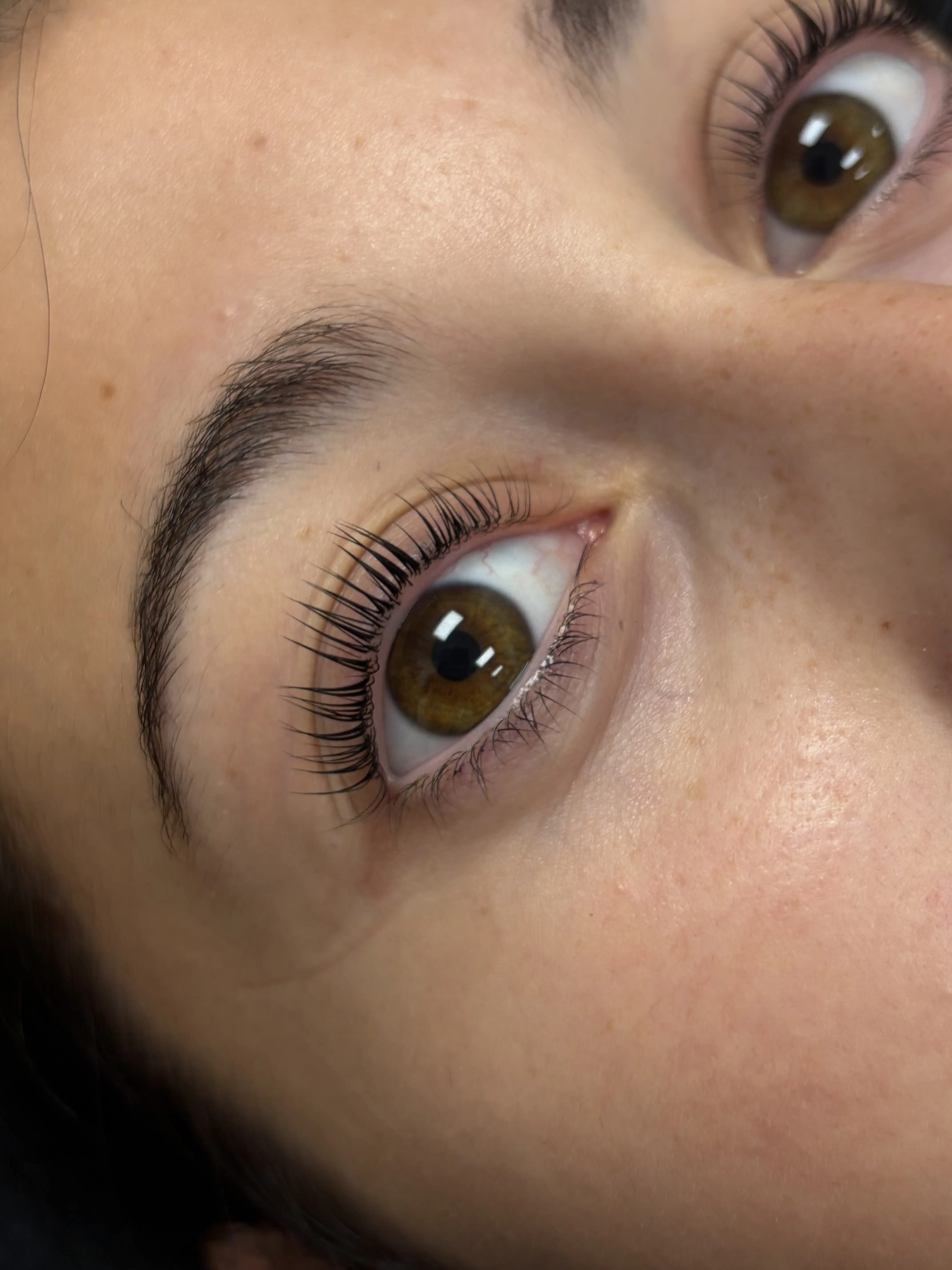 Korean Lash Lift + Tint