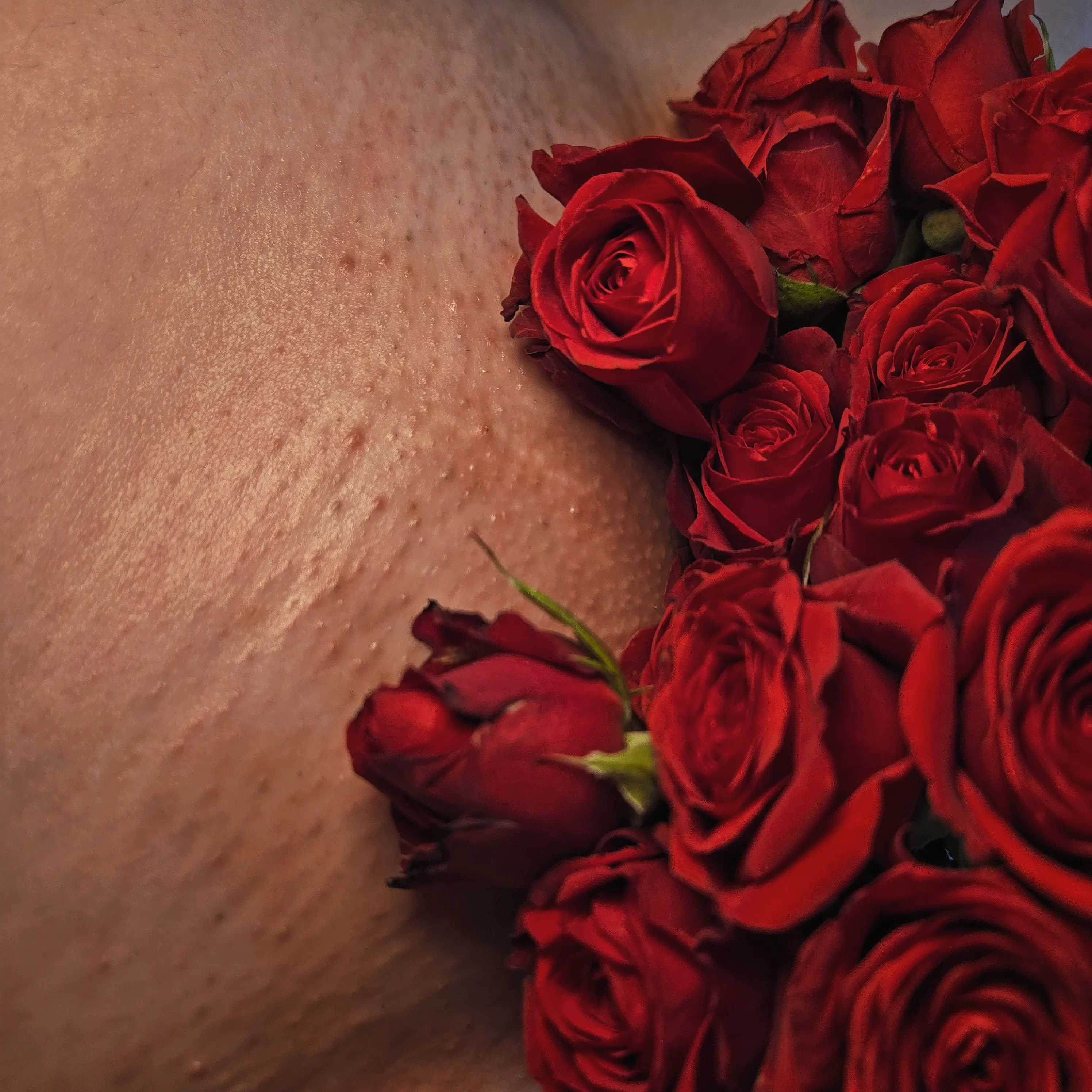 Waxing Specialist Portfolio Photo