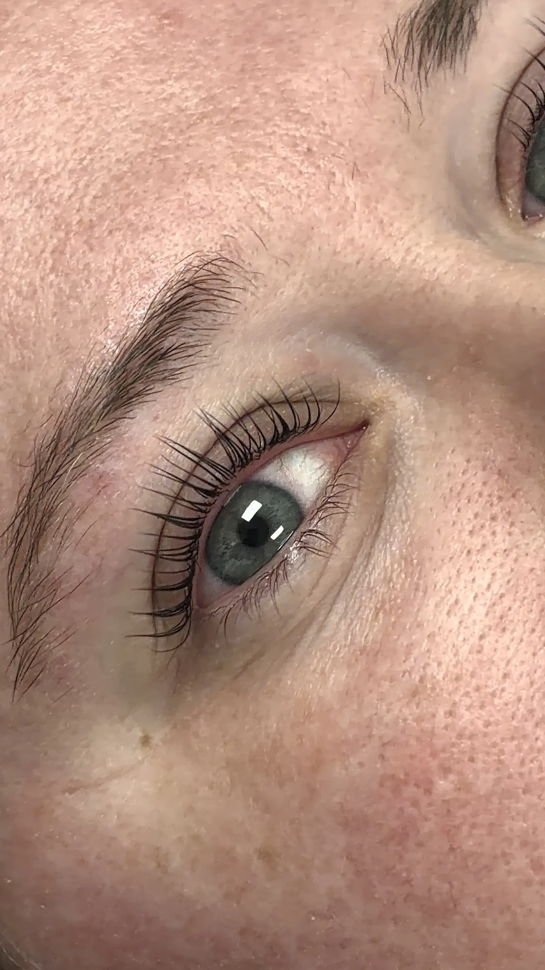 Korean Lash Lift + Tint