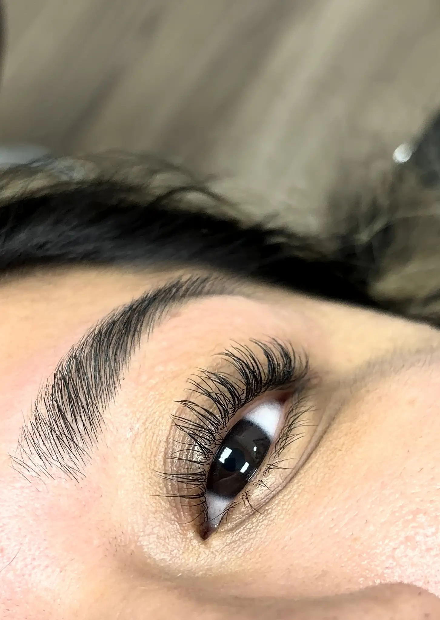 Korean Lash Lift + Tint