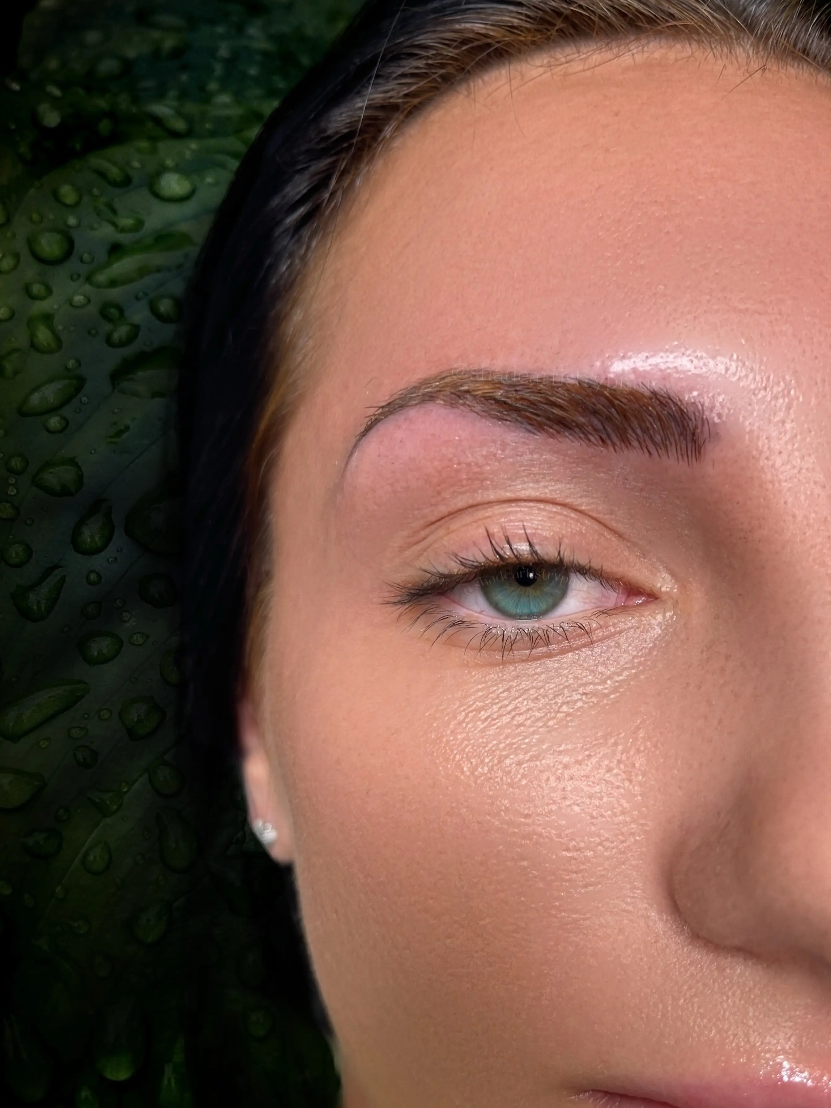 Work by Shade Artistry