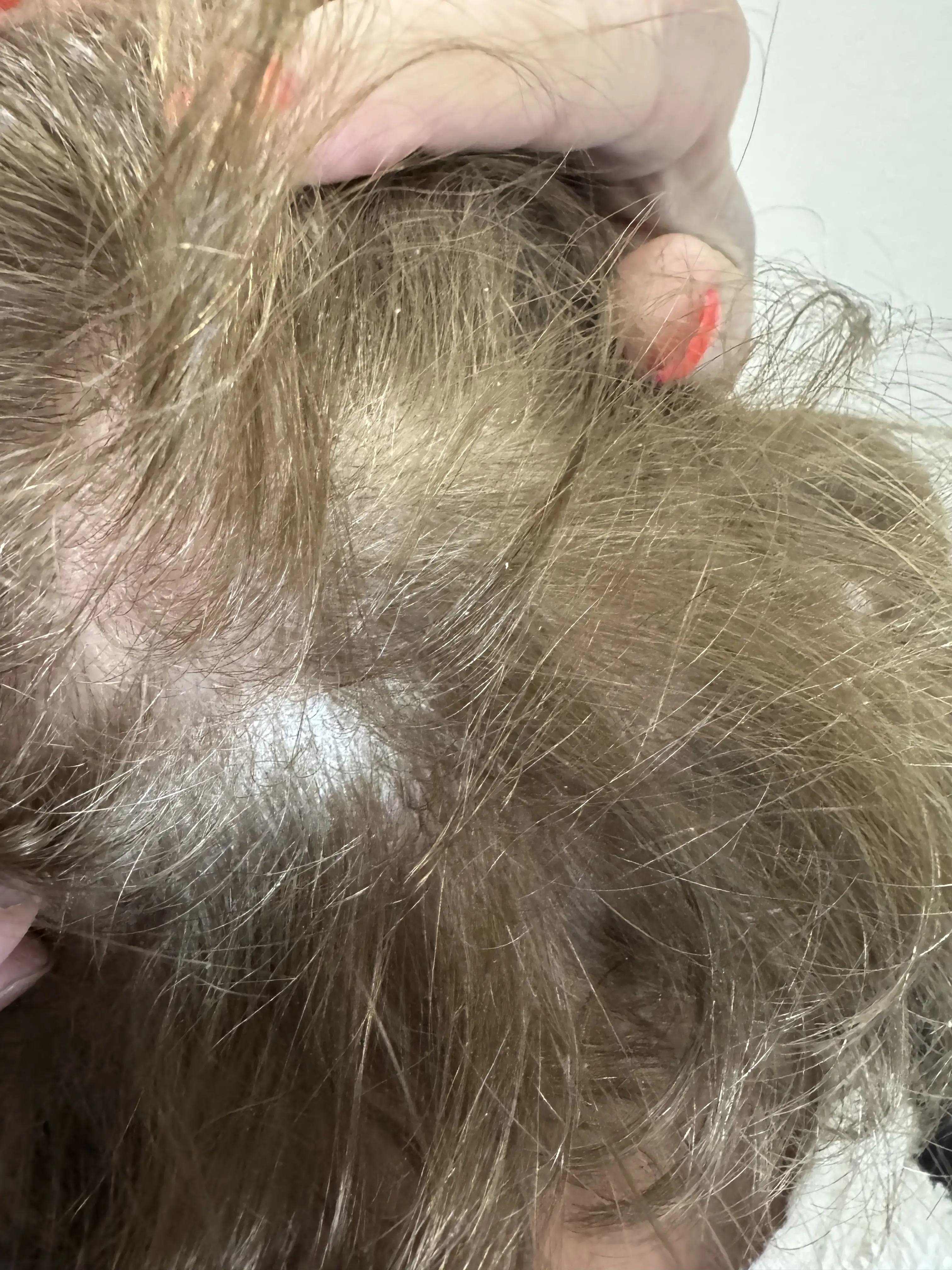 Stylist Portfolio Photo