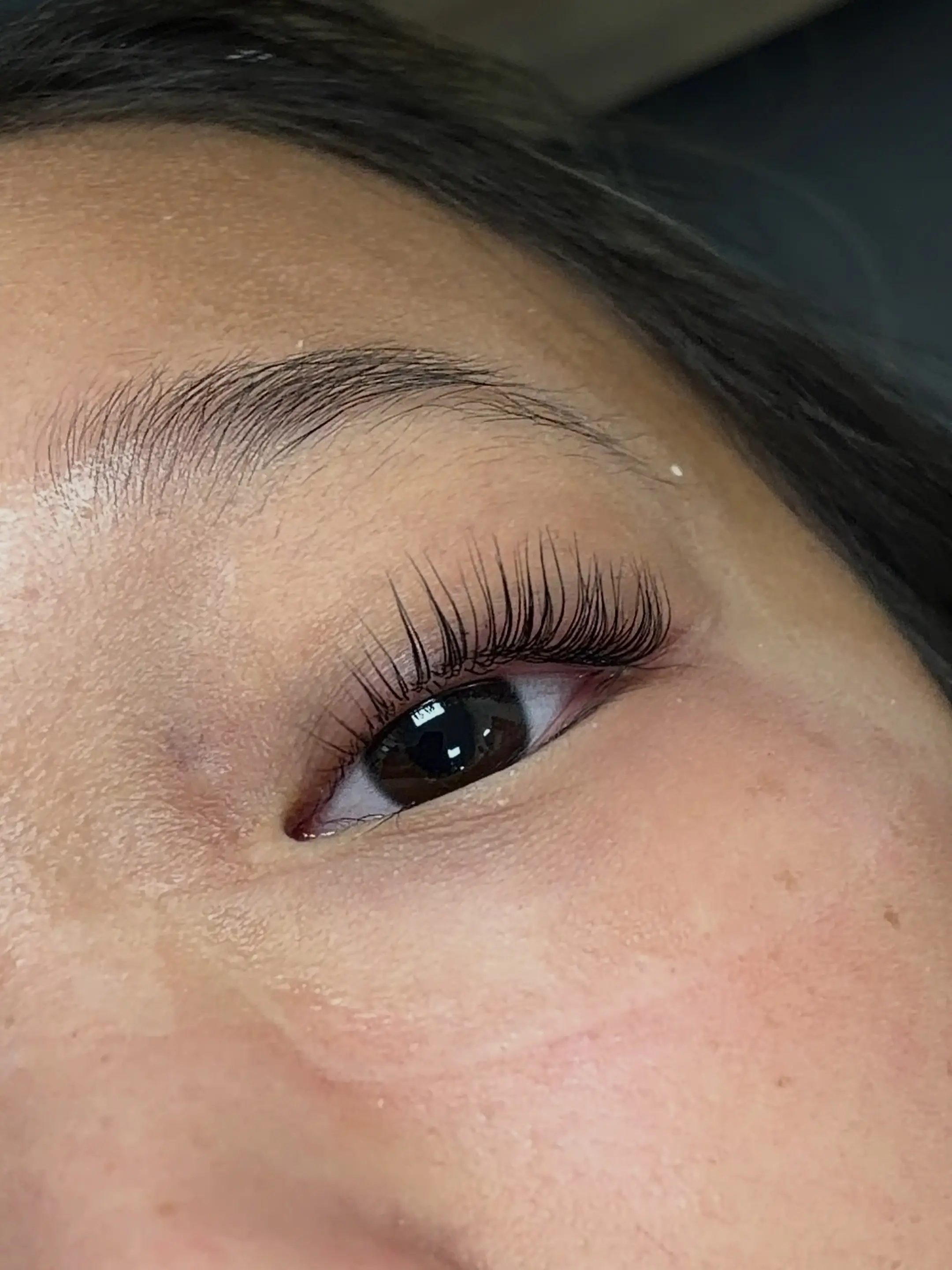 Korean Lash Lift + Tint