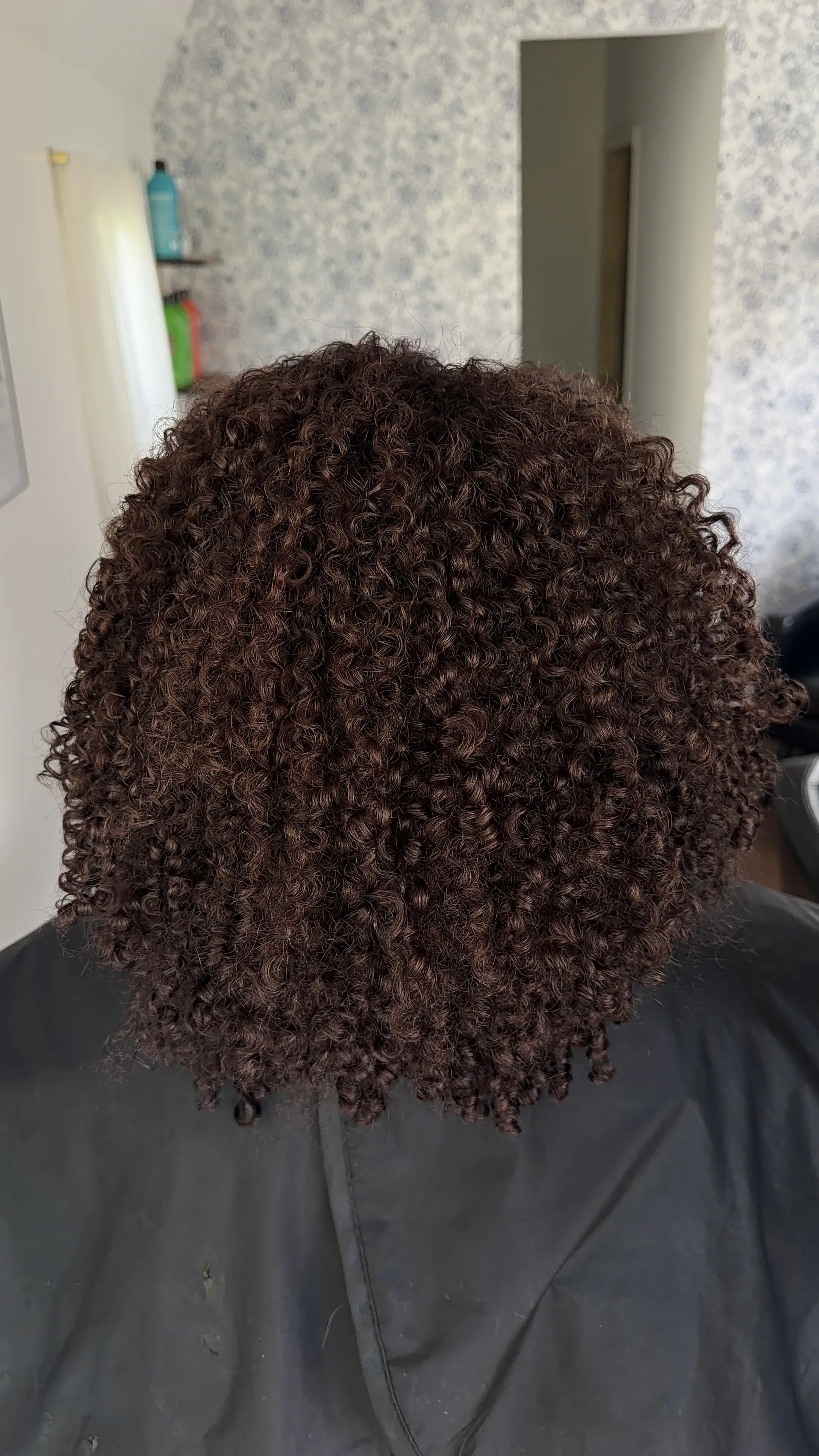Work by Psalm Salon
