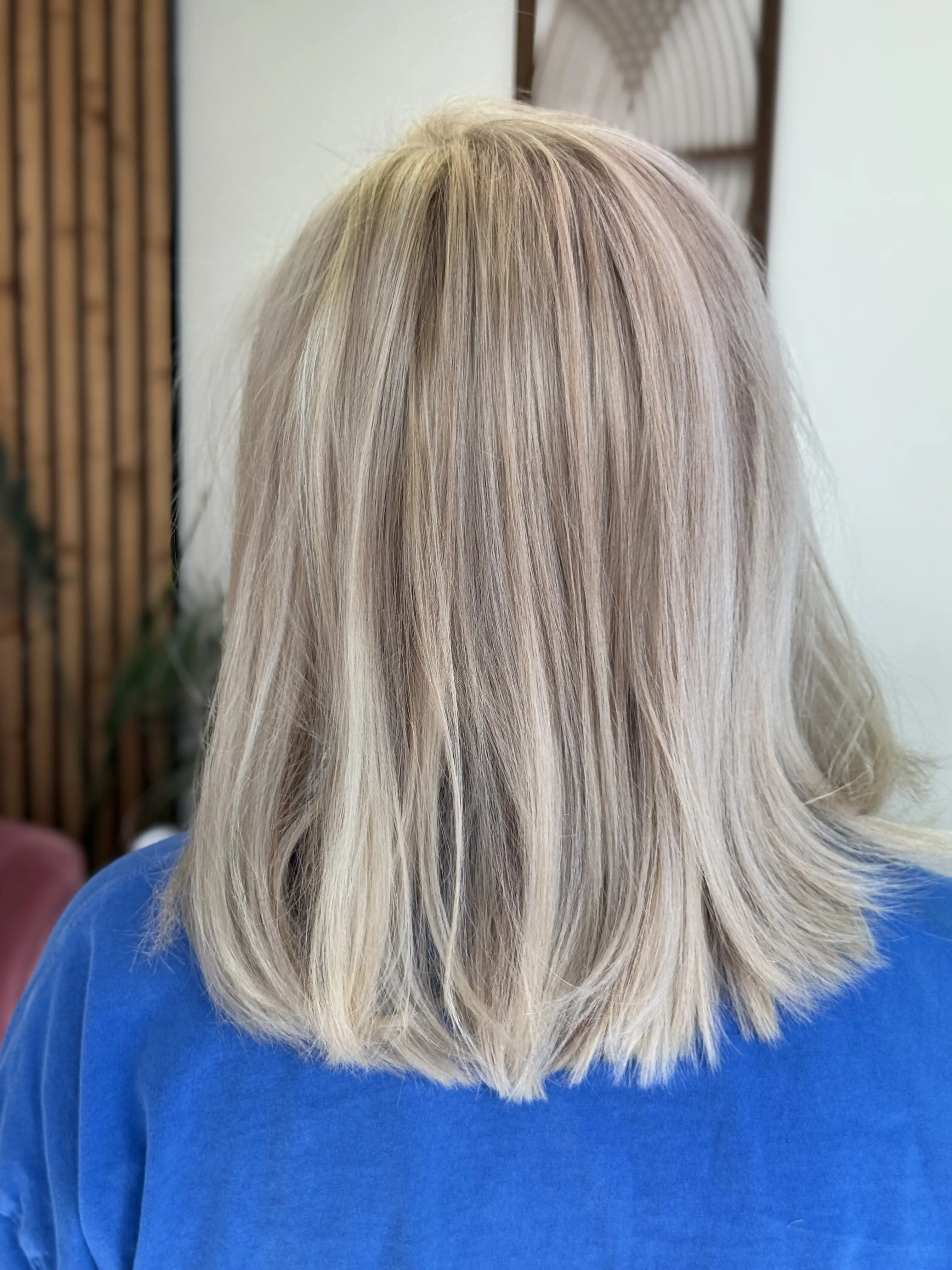 Work by Mikayla at Midwest Mane Society 