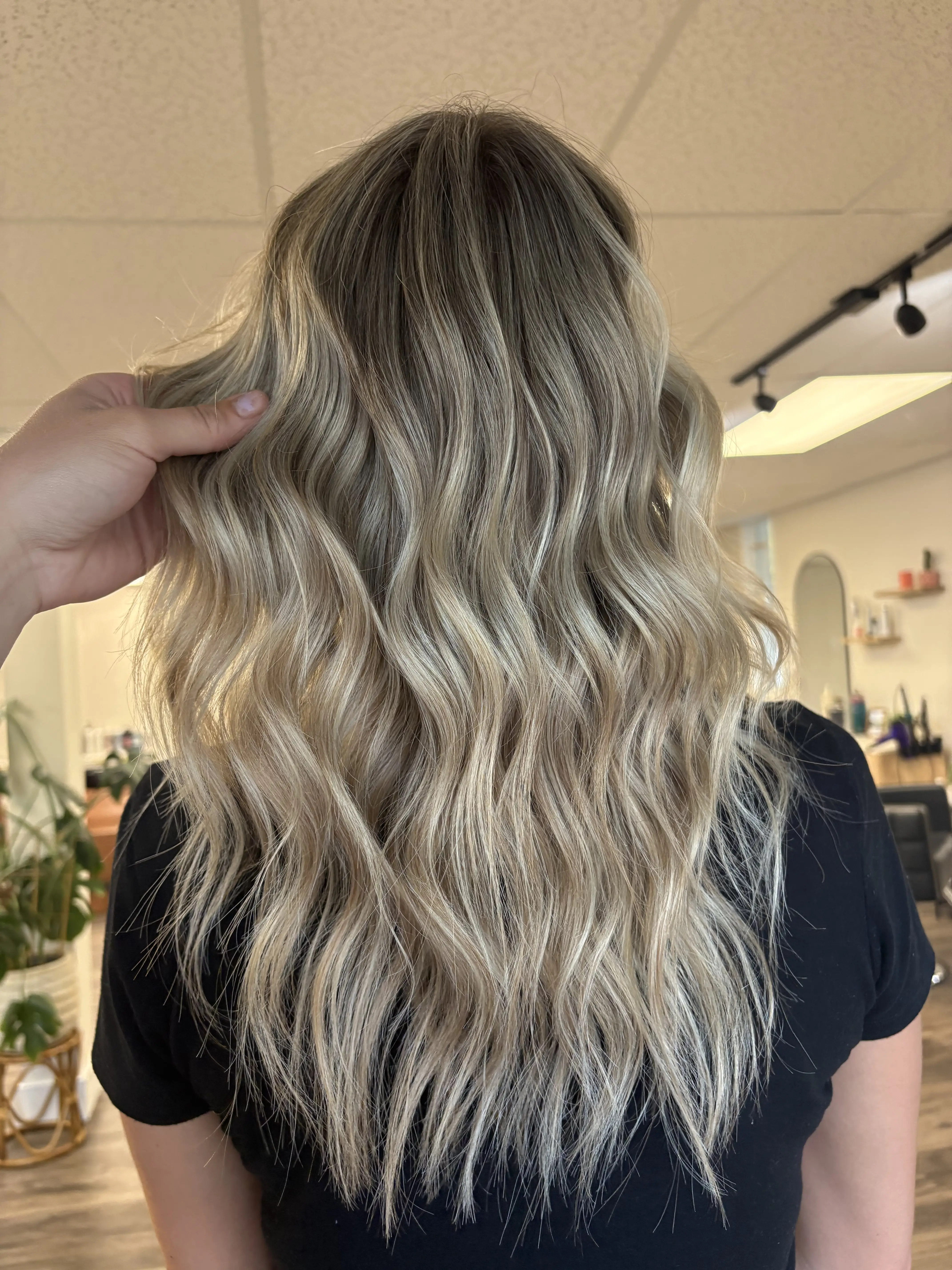 Work from The Northern Mane