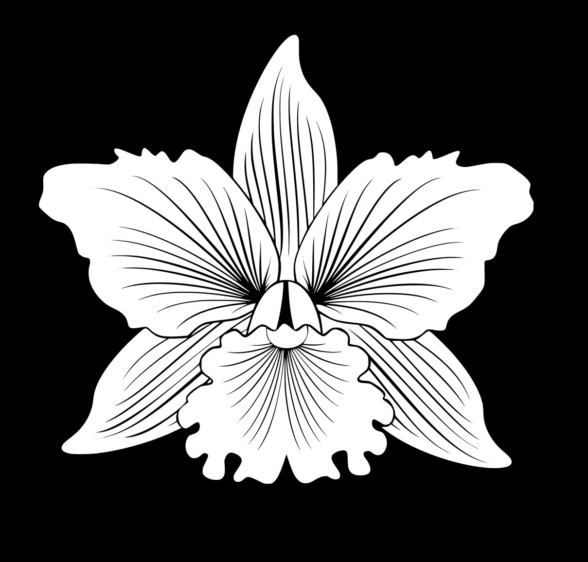Black Orchid Hair Studio