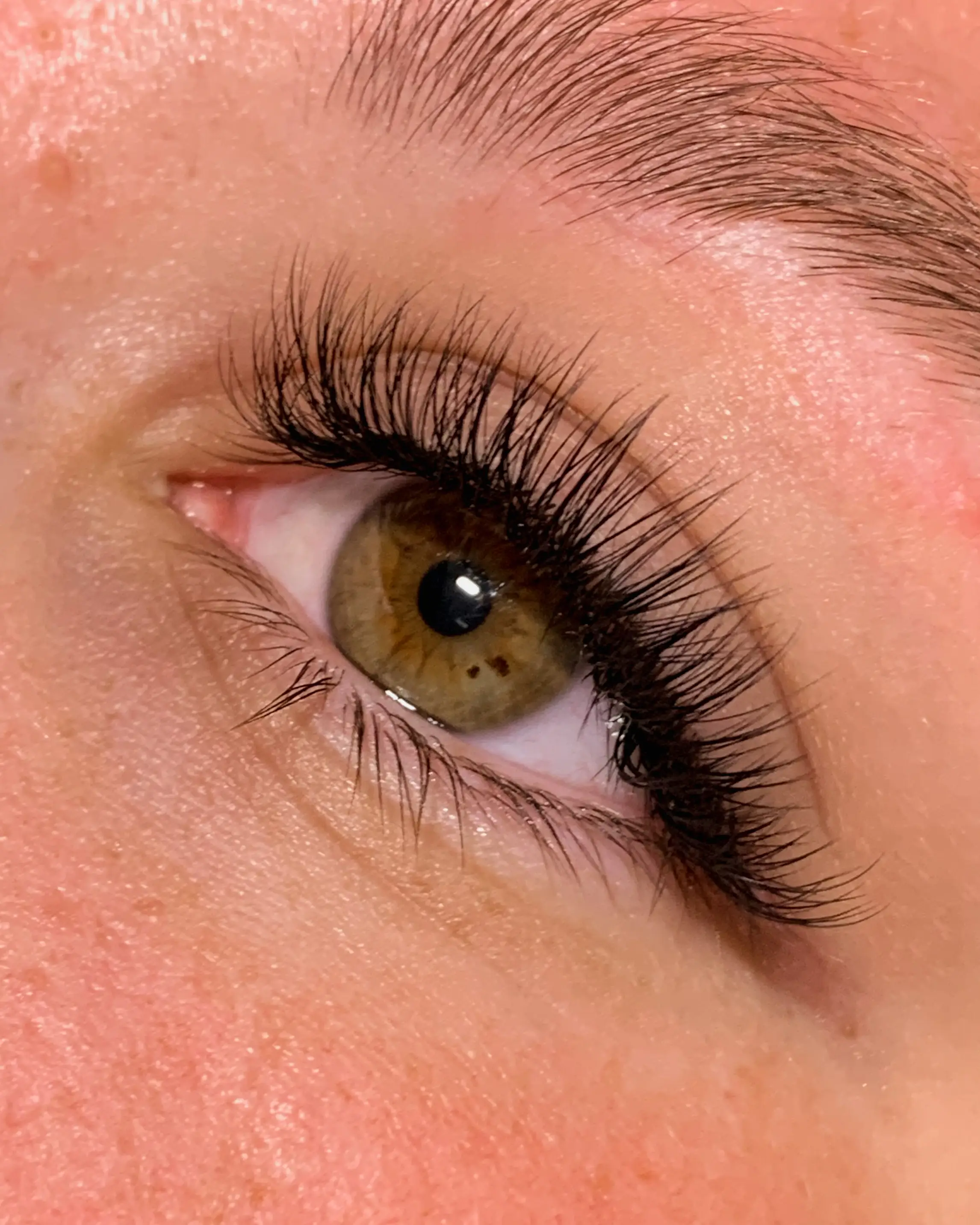 Lash Extension Set
