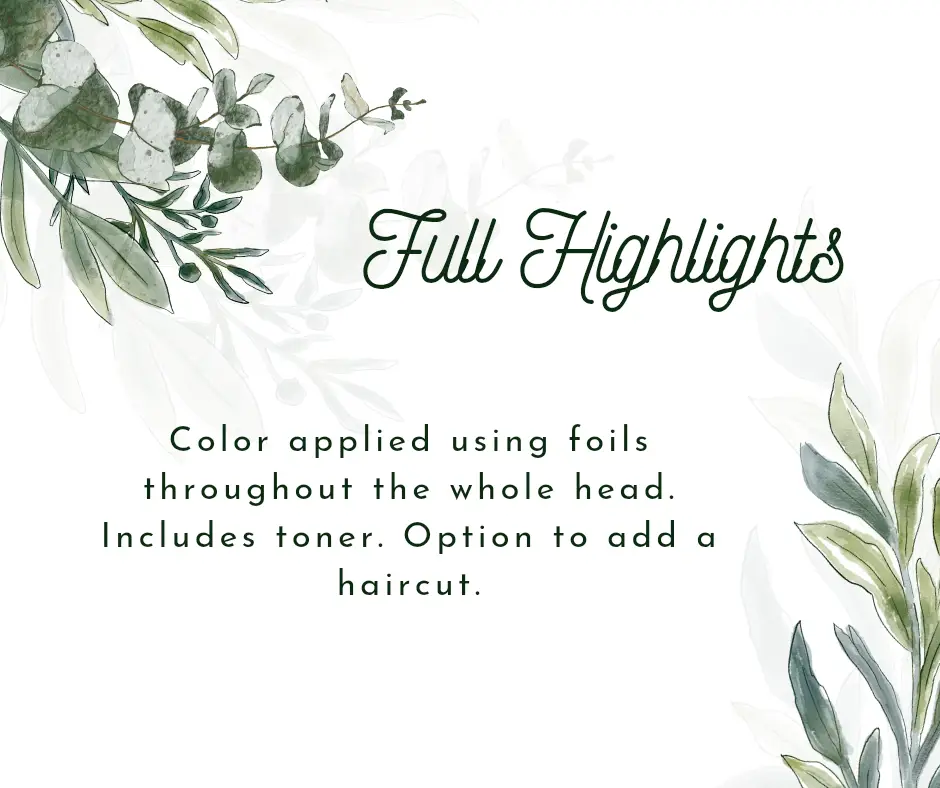 Full Highlights