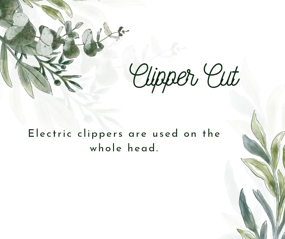 Clipper Cut