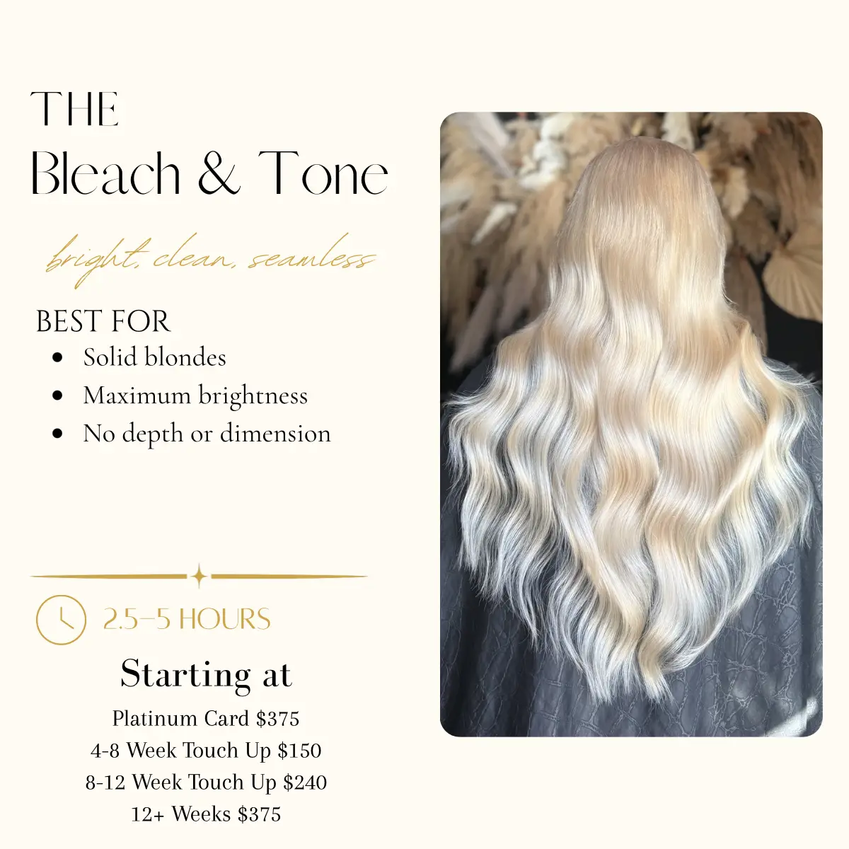 Bleach and Tone (Solid Blonde)