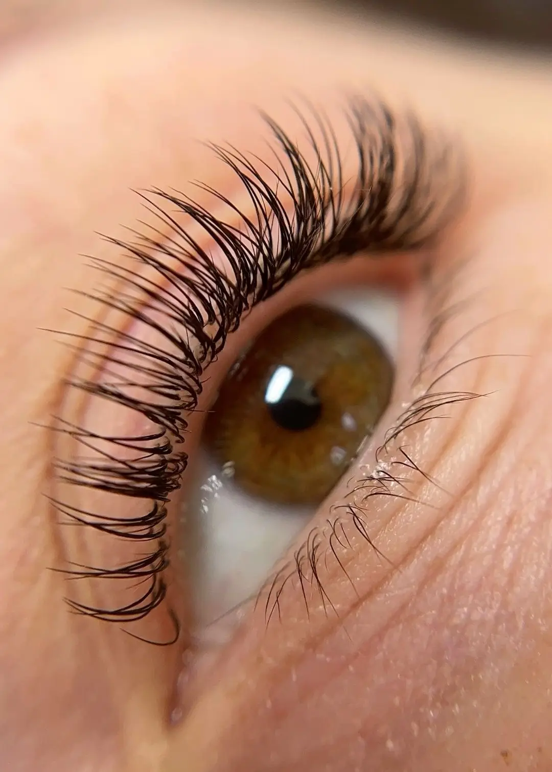Classic Lash Set