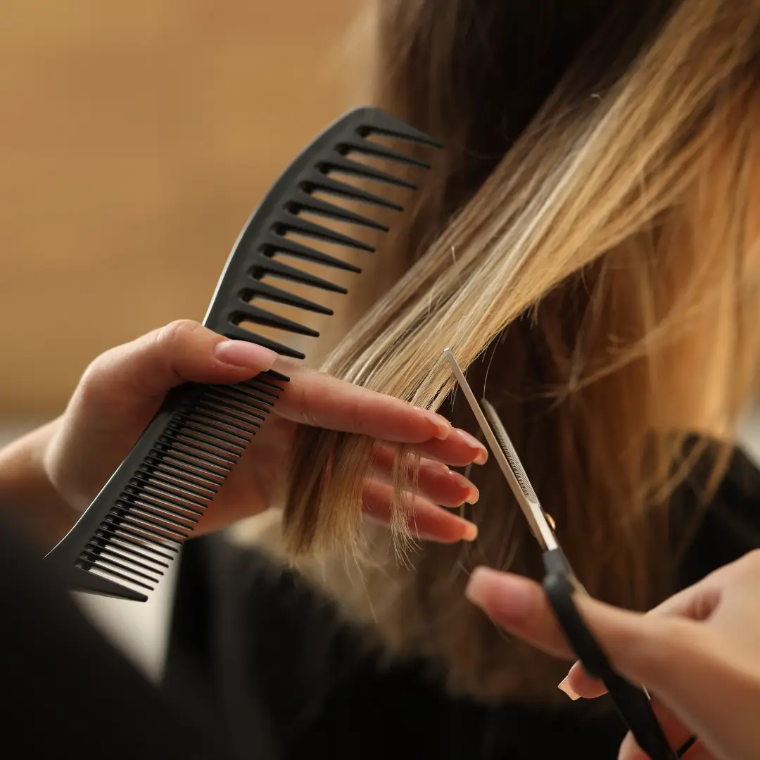 Haircuts & Barbering 