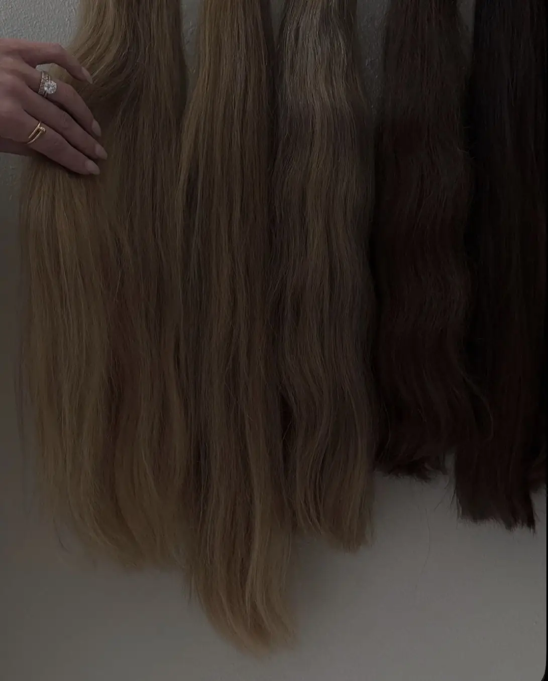 The Dream Hair Plan | Extension Consultation