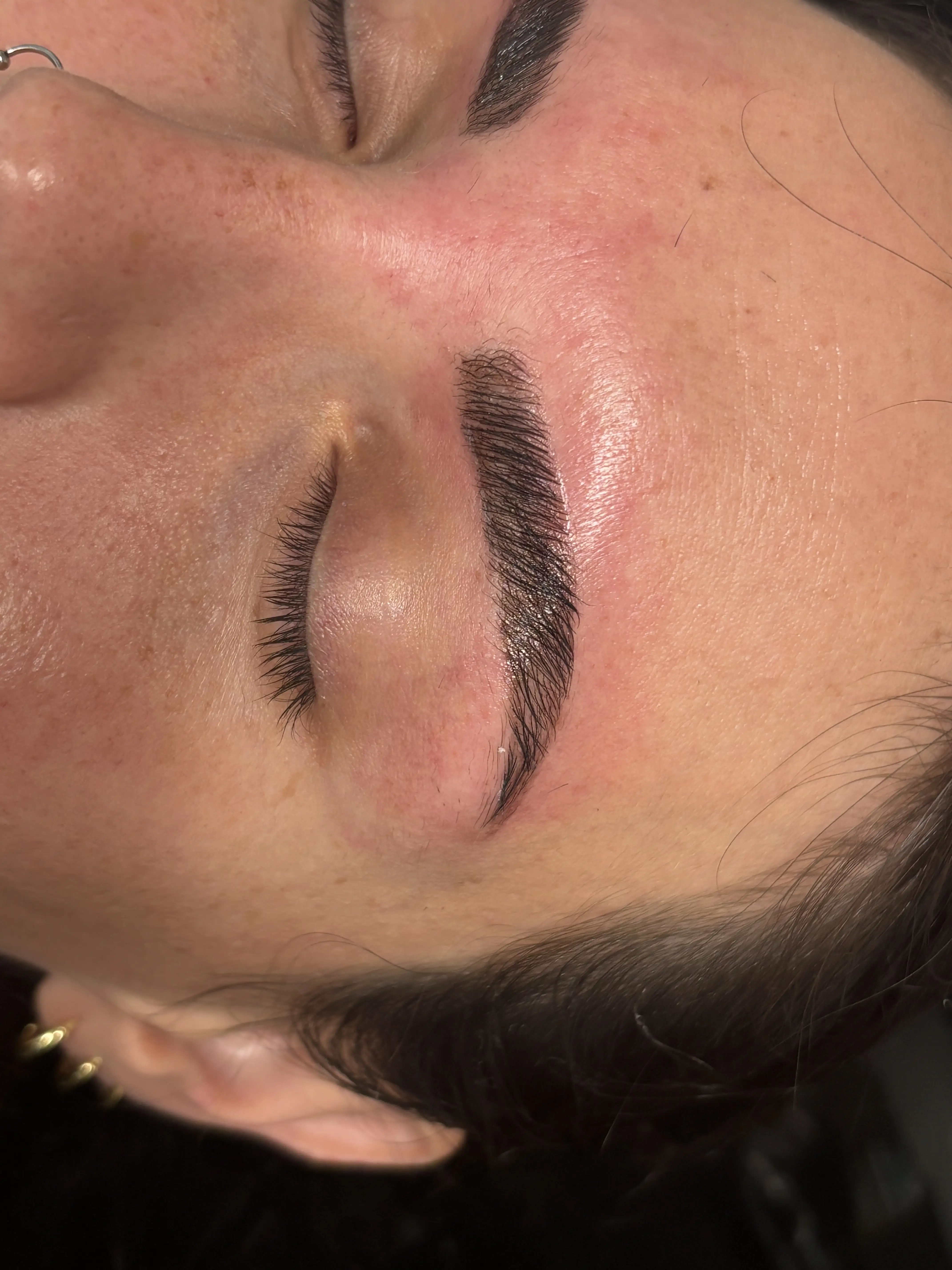 The Brow Refresh 