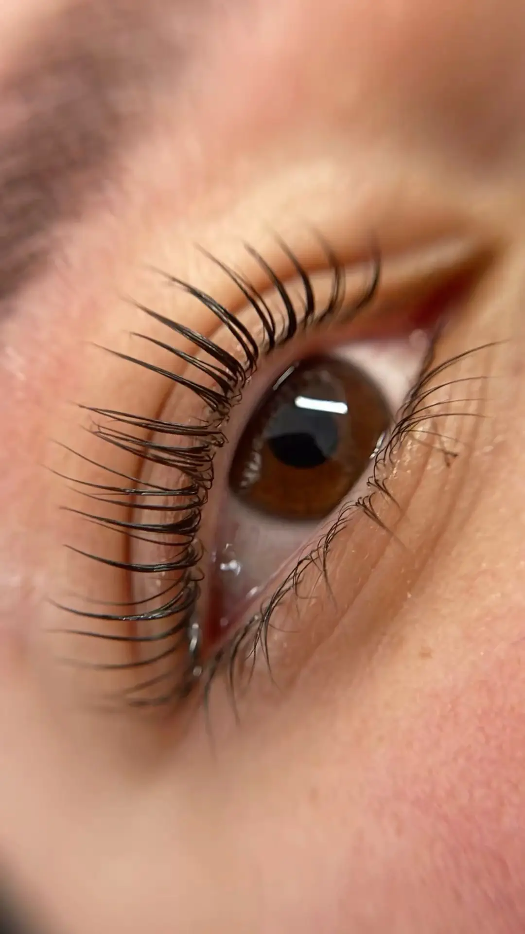 Lash lift & tint 