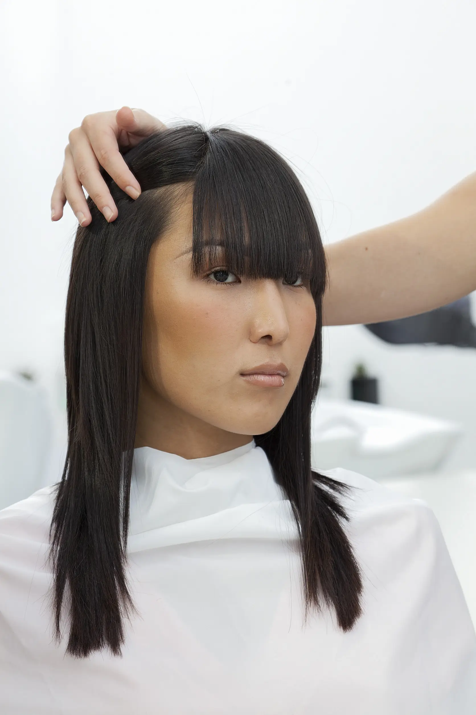 Bang Trim 