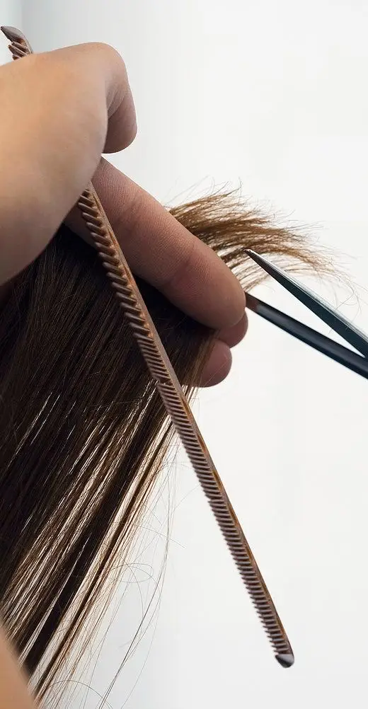 JUST WHAT NEEDS TO GO (HAIRCUT)