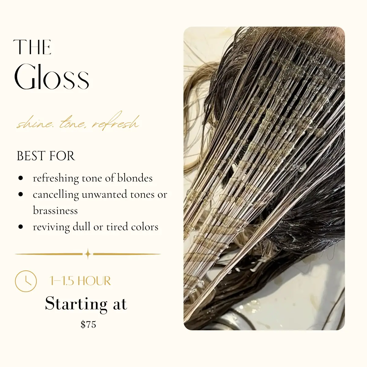 Maintenance Toner/Gloss