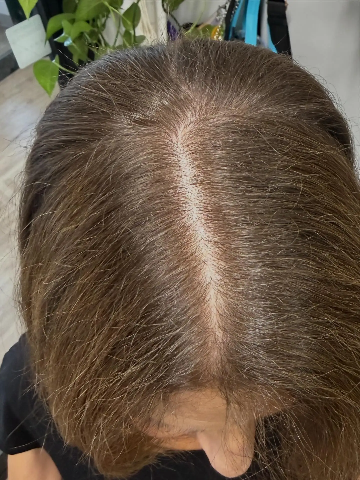 Root Touch Up