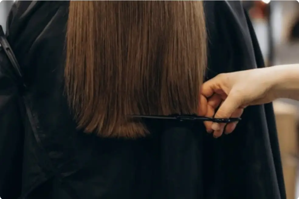 Women's EXPRESS haircut DRY CUT, or Shampoo and no blowdry 