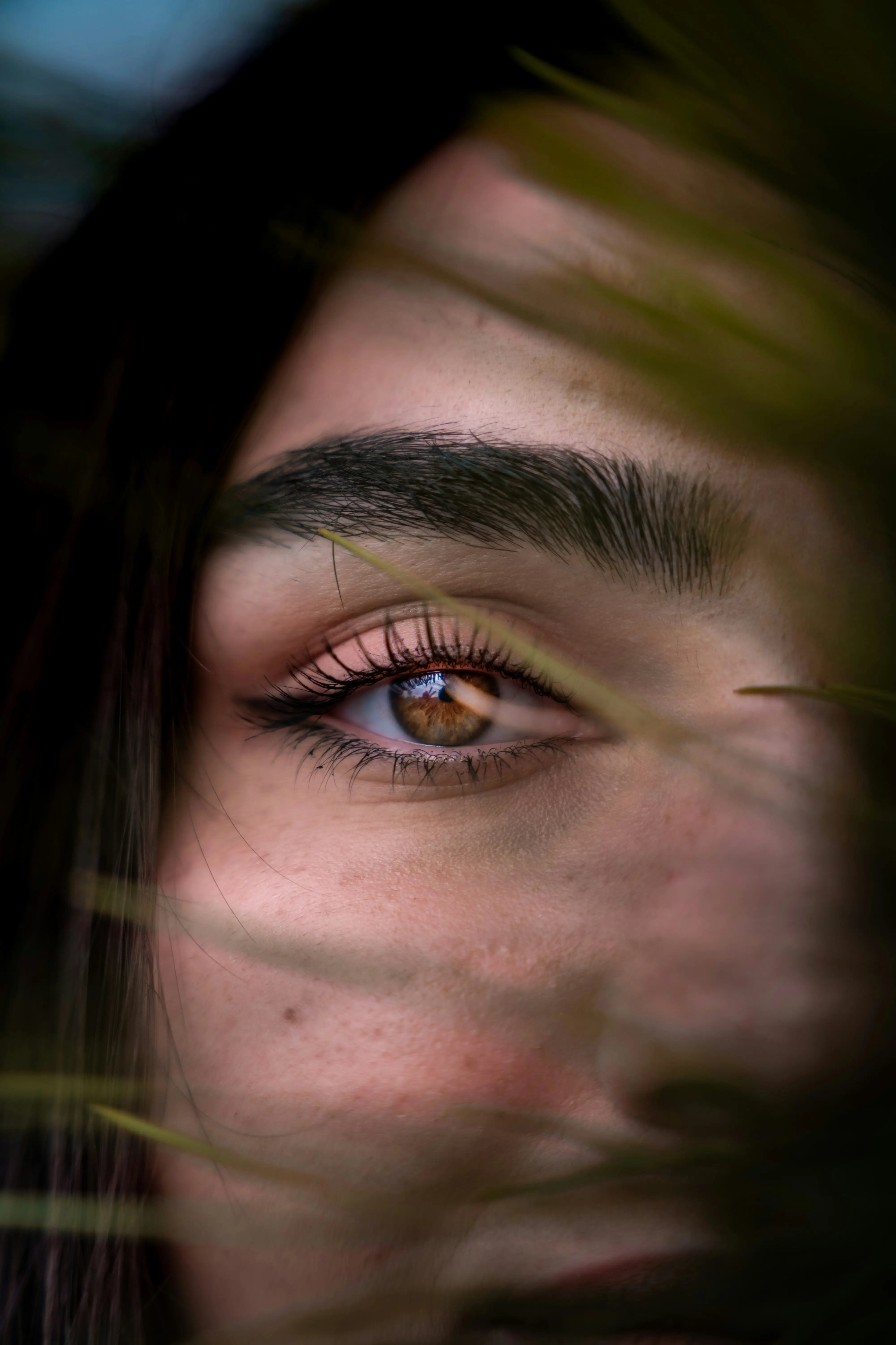 Eyebrow Wax
