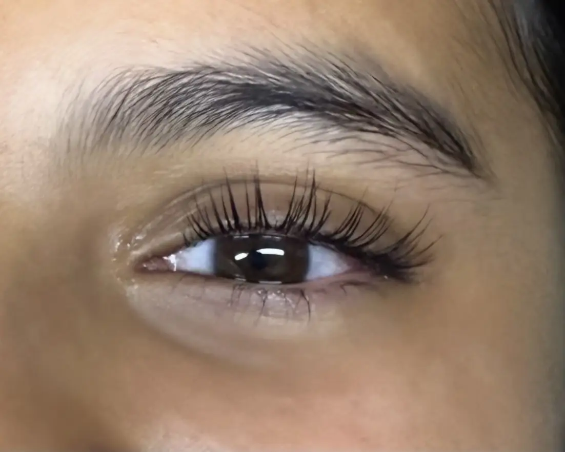 Lash Lift + Tint Special