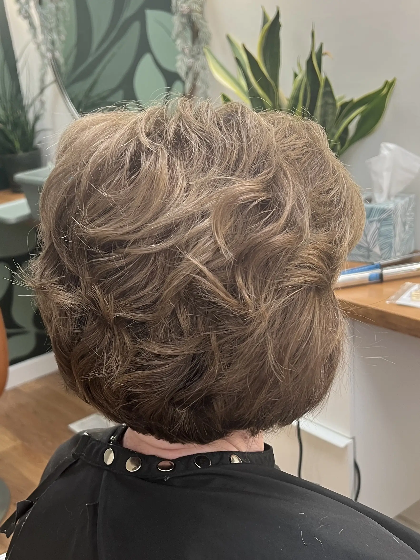 Regrowth touchup