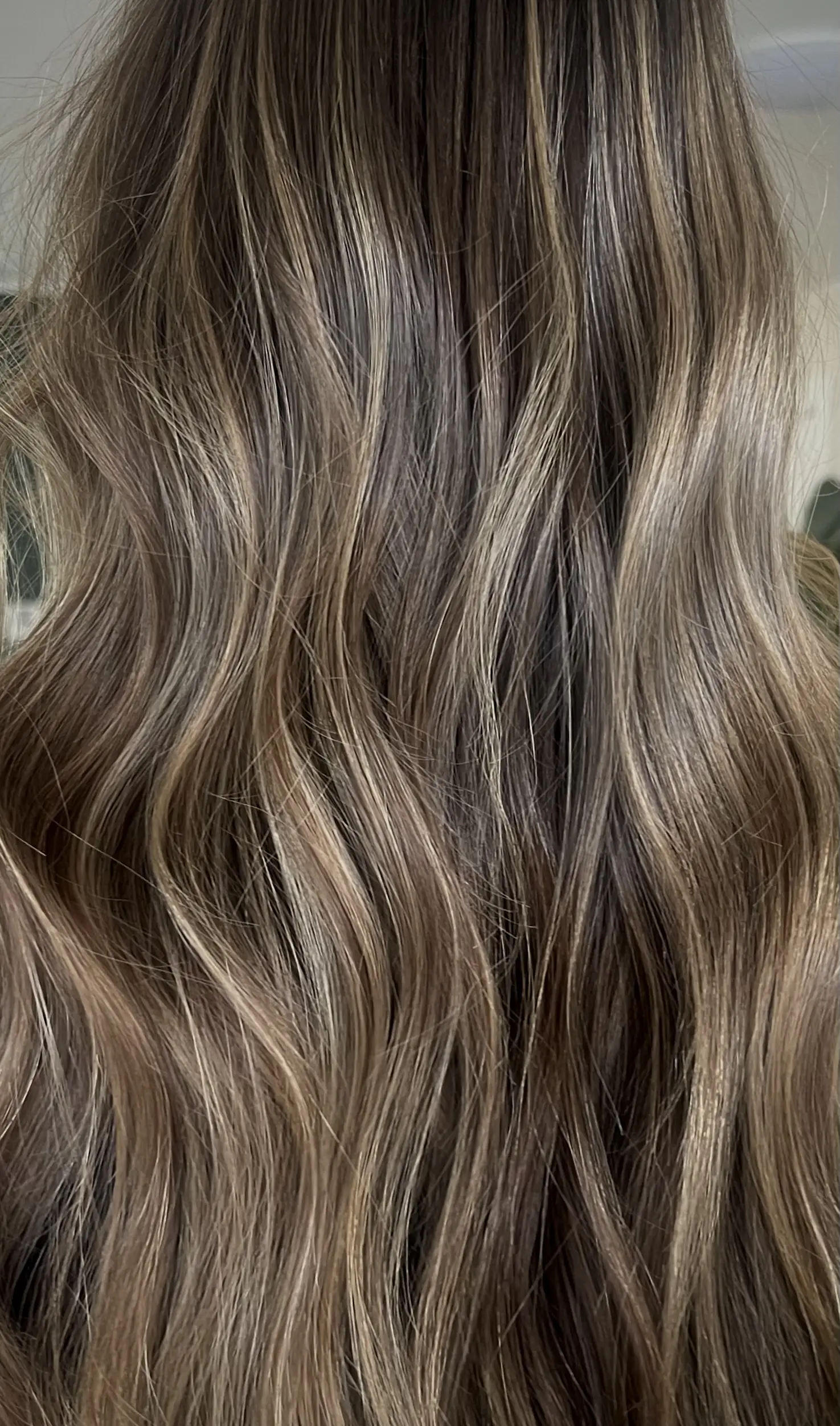 Dry Cut + Style