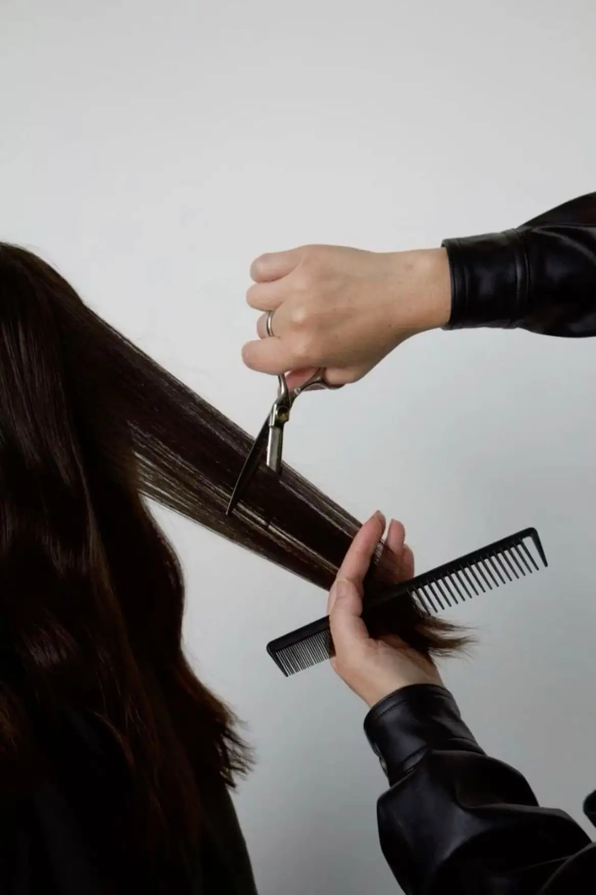 Women's Haircut
