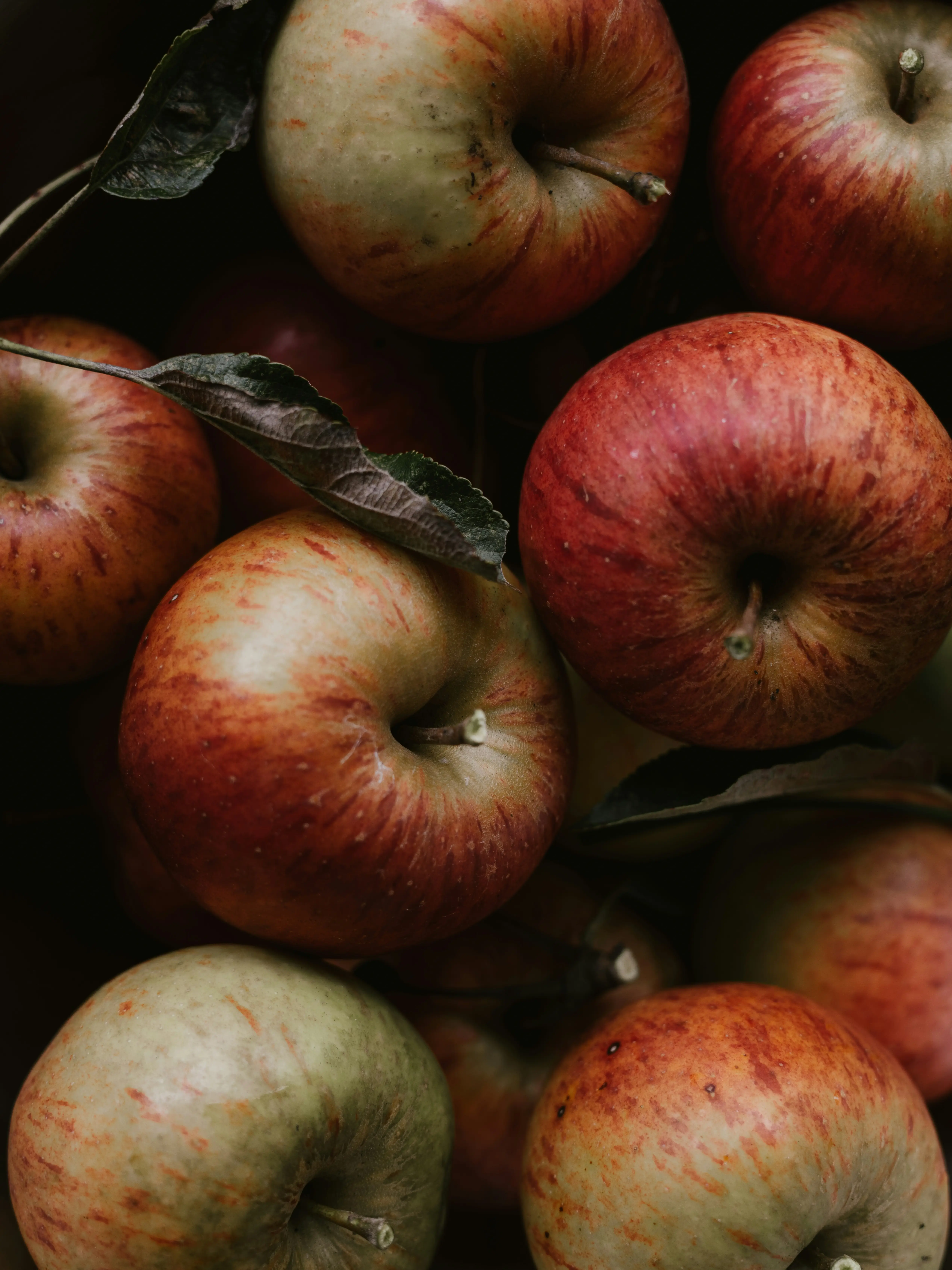 Warm Apples and Vanilla Featured Facial
