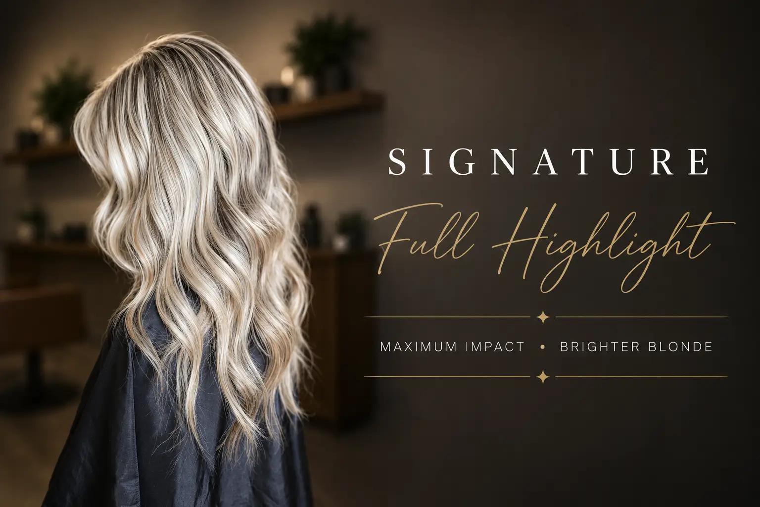 Full Highlights