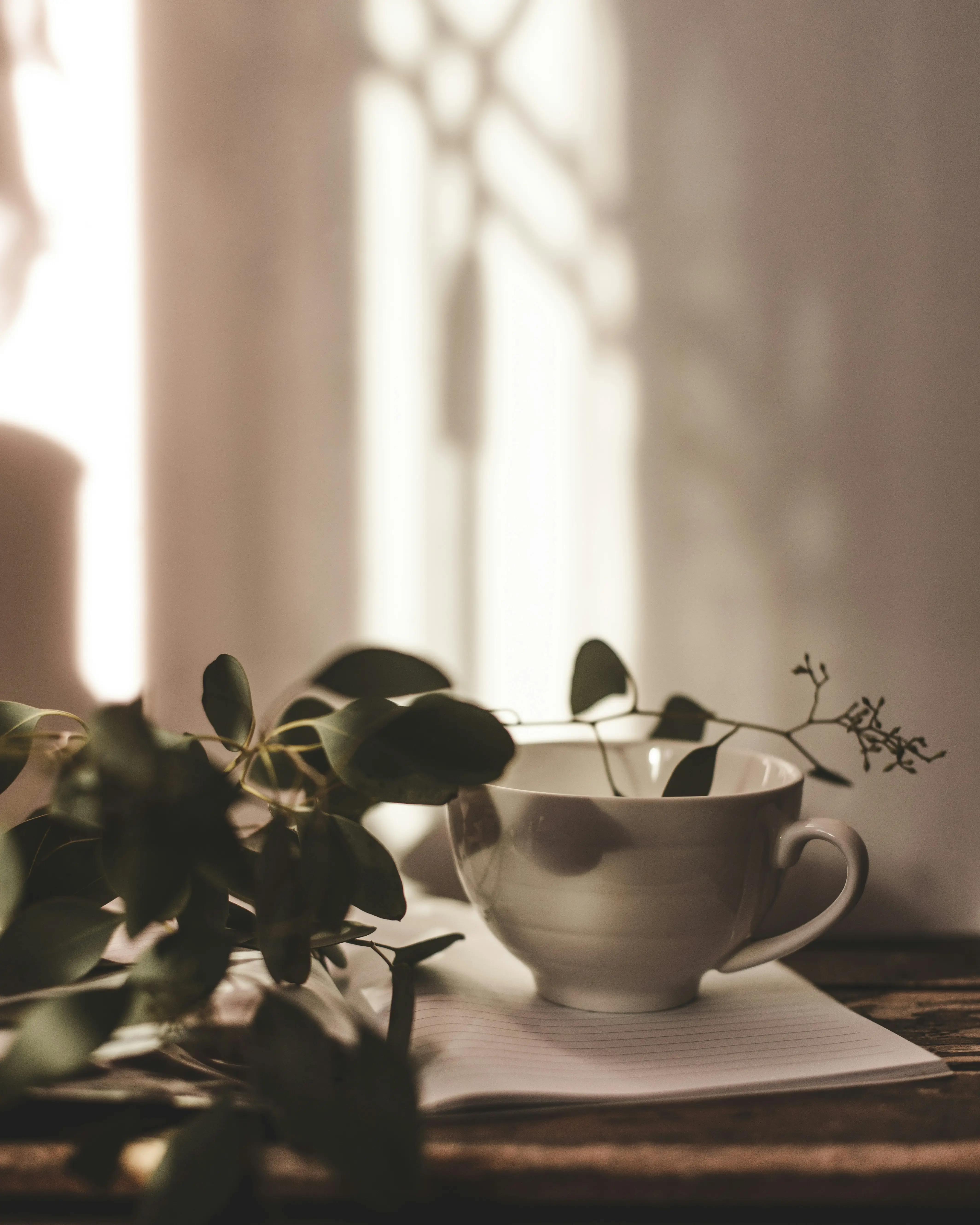 The Courtyard Refresh