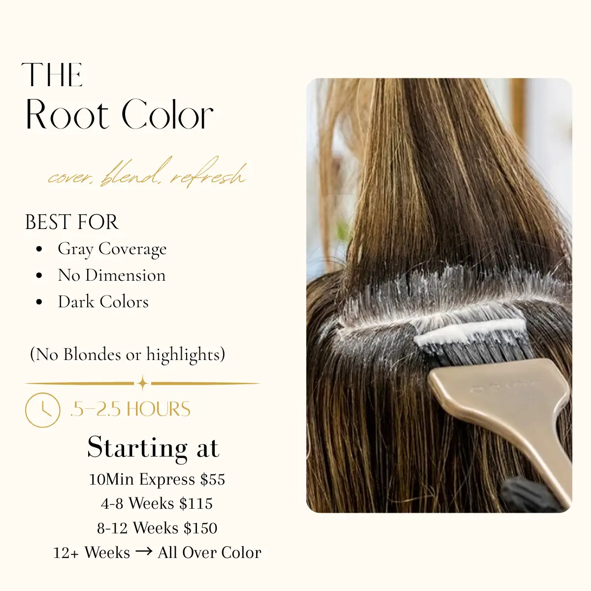 The Root
