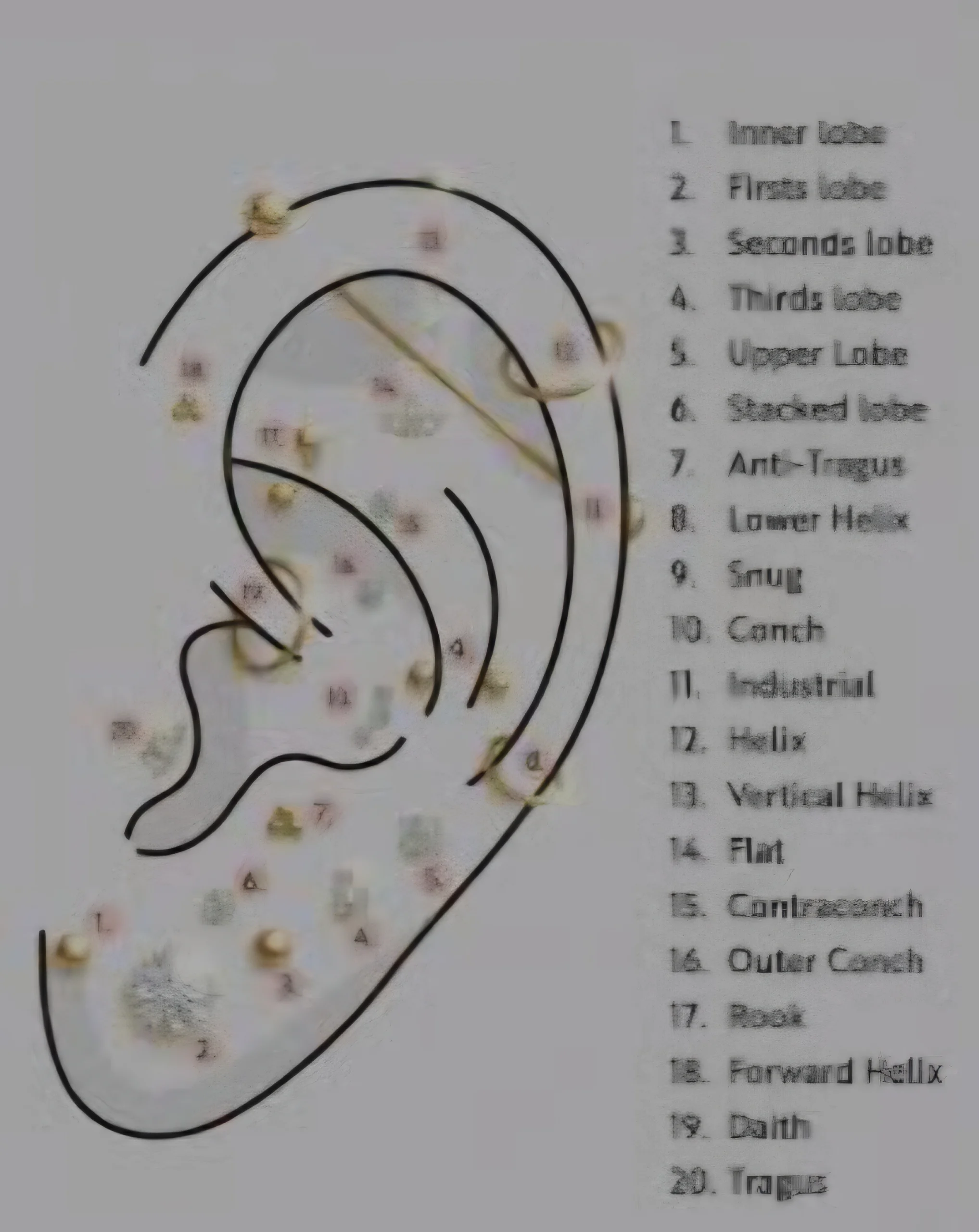 Speciality EAR piercings
