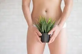 Brazilian Wax Maintenance 