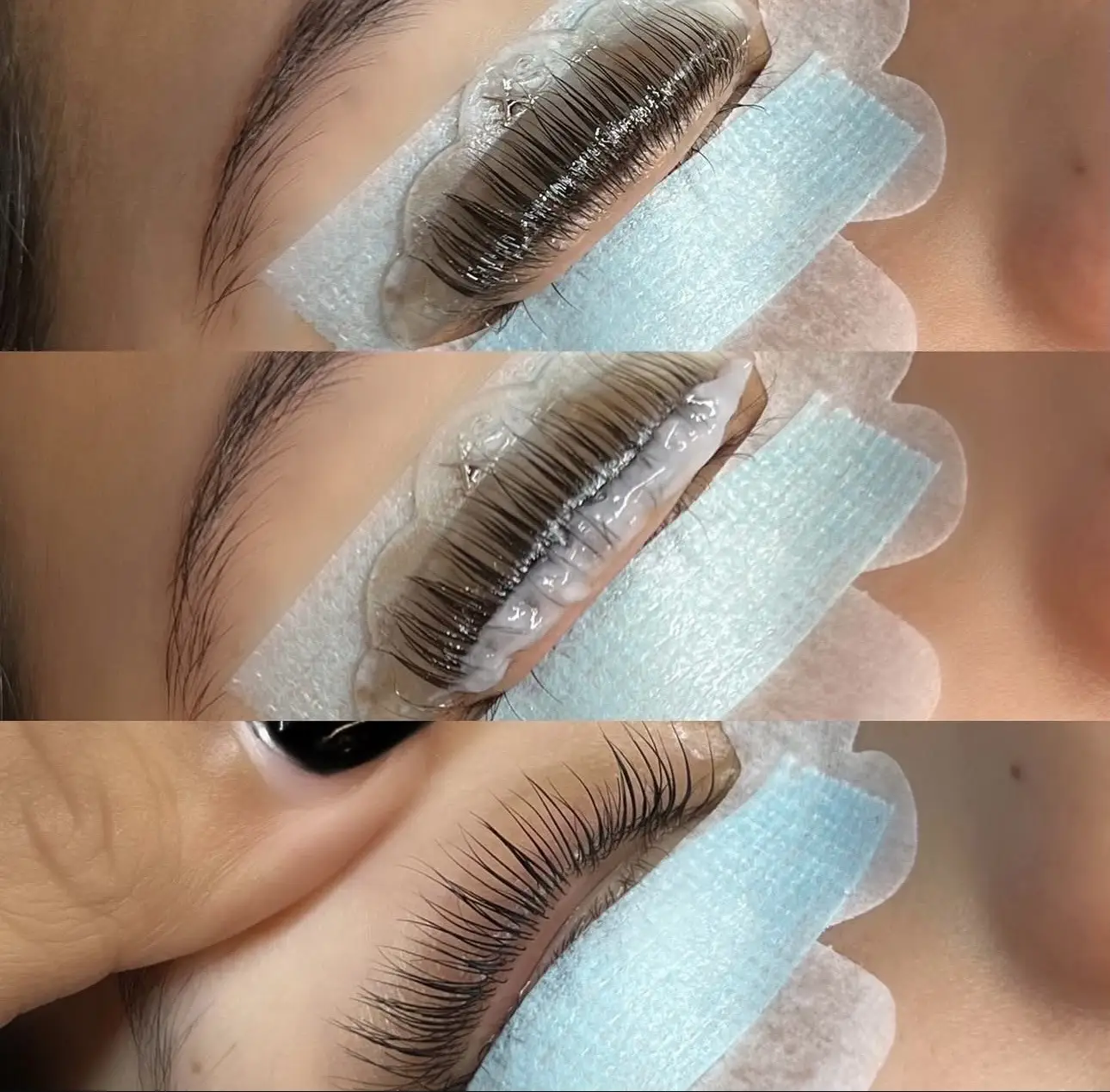 THE LASH AWAKENING 🕷️
