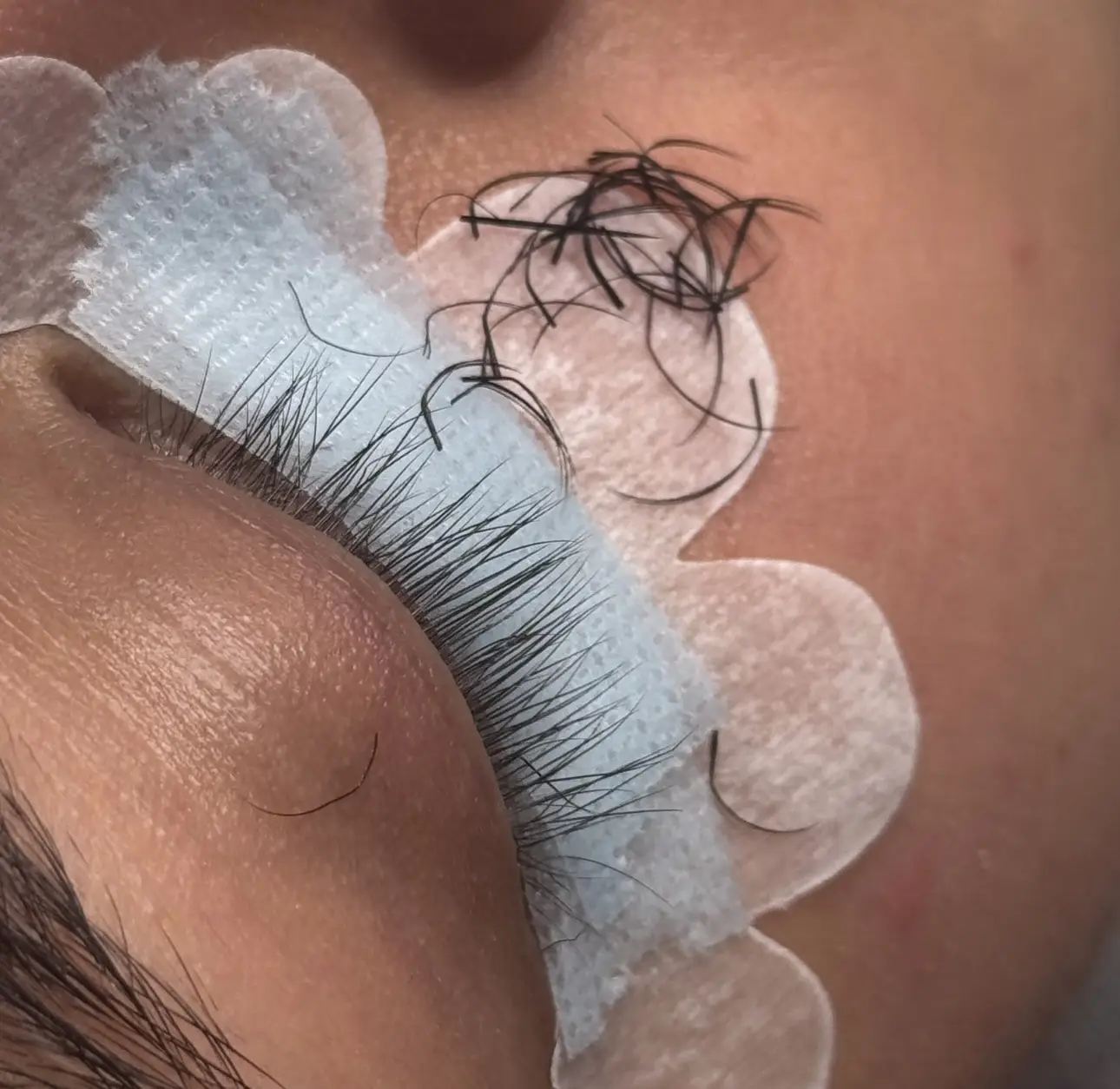☠️ The Lash Purge
