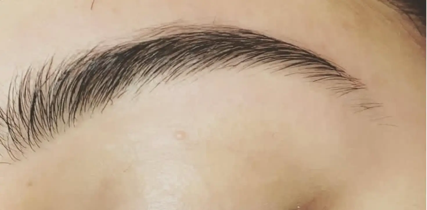Brow Design (wax & Tweeze) 30min