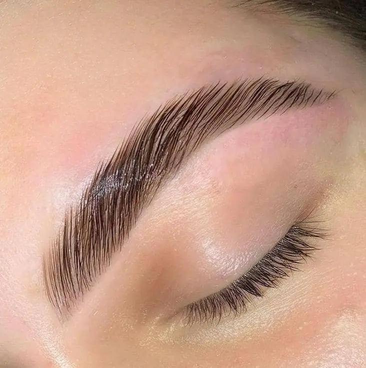 Brow Lamination, Shape & Tint