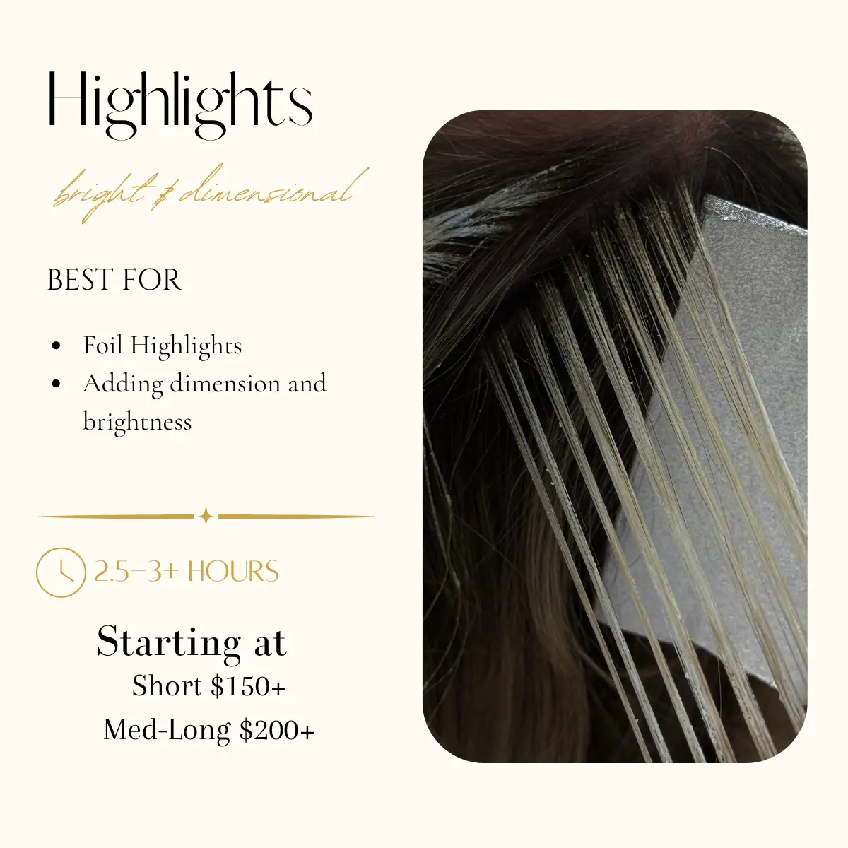 Full Highlights