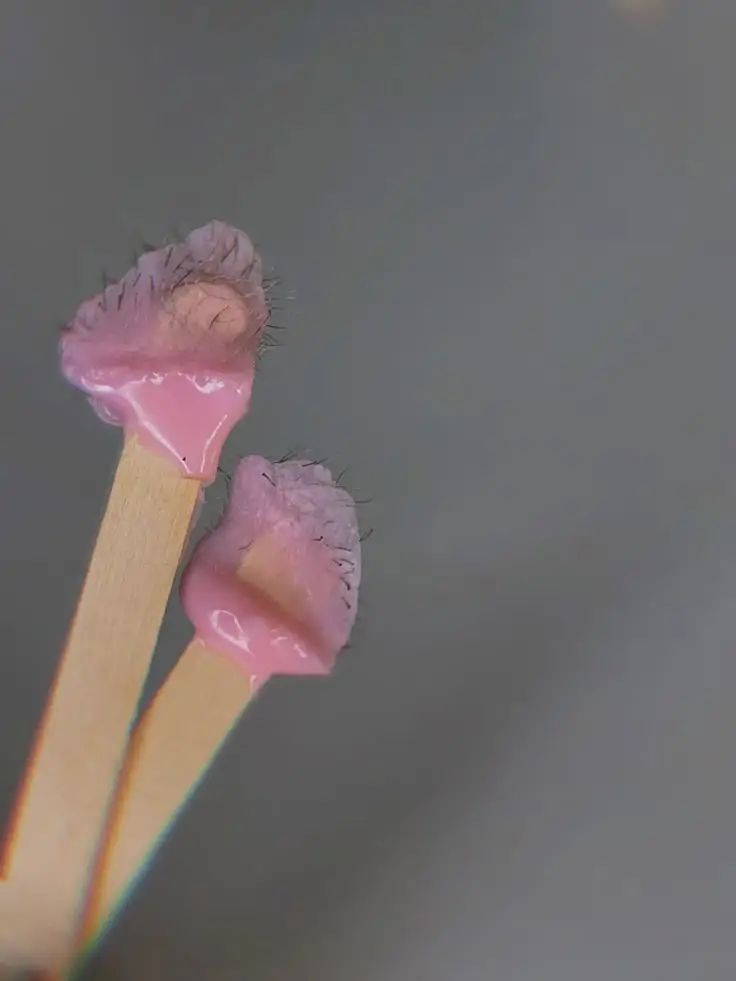 Nose Wax